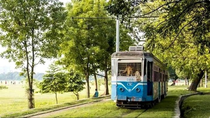 সংগৃহীত ছবি।