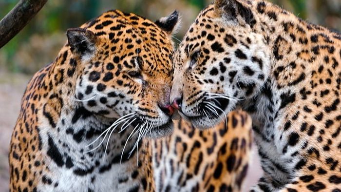 প্রতীকী ছবি