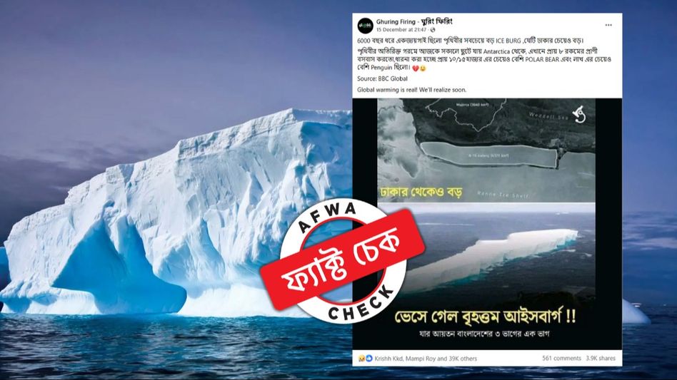 ফ্যাক্ট চেক: আন্টার্কটিকায় ভাঙা হিমশৈলে লক্ষাধিক পেঙ্গুইন-হাজারো পোলার বেয়ার থাকত? এই ছবিগুলি সেখানকার? ফ্যাক্ট চেক: আন্টার্কটিকায় ভাঙা হিমশৈলে লক্ষাধিক পেঙ্গুইন-হাজারো পোলার বেয়ার থাকত? এই ছবিগুলি সেখানকার?
