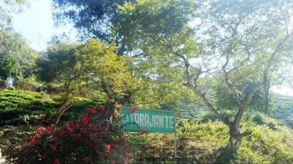 Assam: Ban on illegal coal mining in Dibrugarh tea estate, Section 144 imposed Assam: Ban on illegal coal mining in Dibrugarh tea estate, Section 144 imposed
