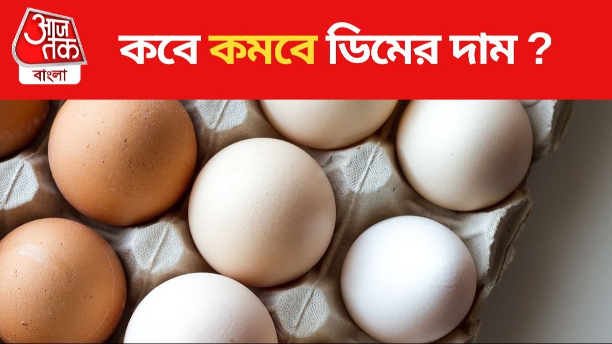 ডিমের দাম