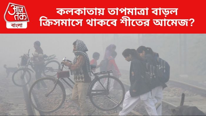 Bengal Winter Update