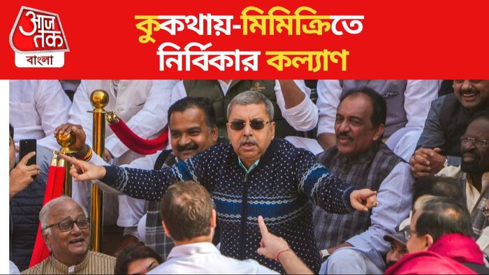 ফাইল ছবি।