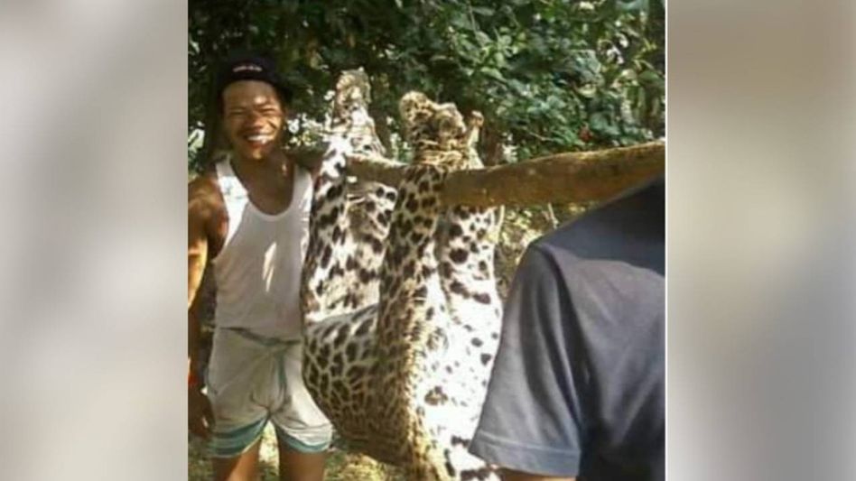 Assam: Student Union leader detained for allegedly killing leopard and eating meat Assam: Student Union leader detained for allegedly killing leopard and eating meat