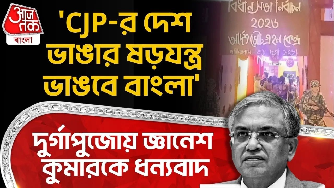 Voting and democracy theme featured in durga puja pandal