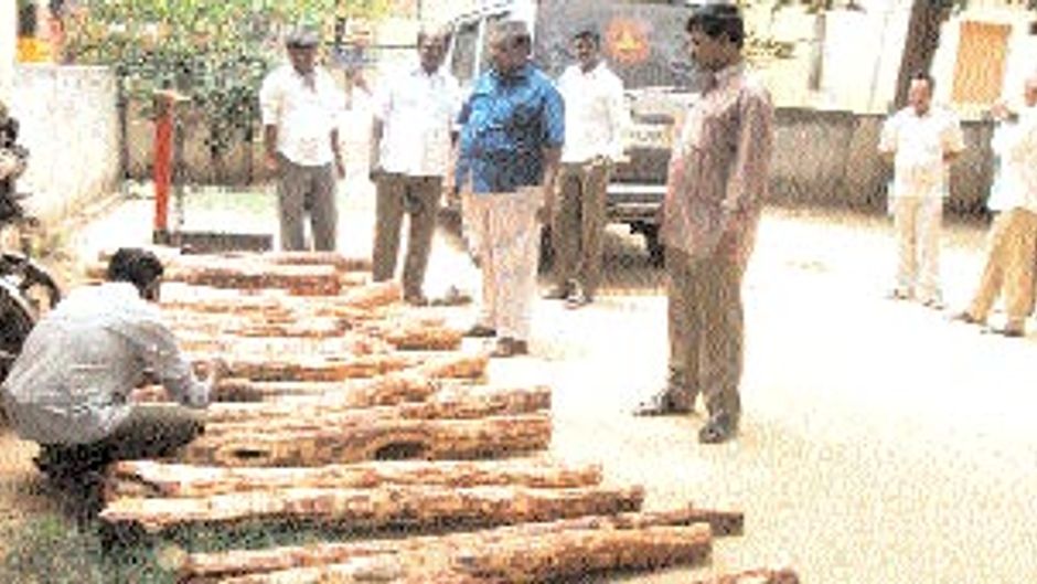 लाल चंदन तस्करी