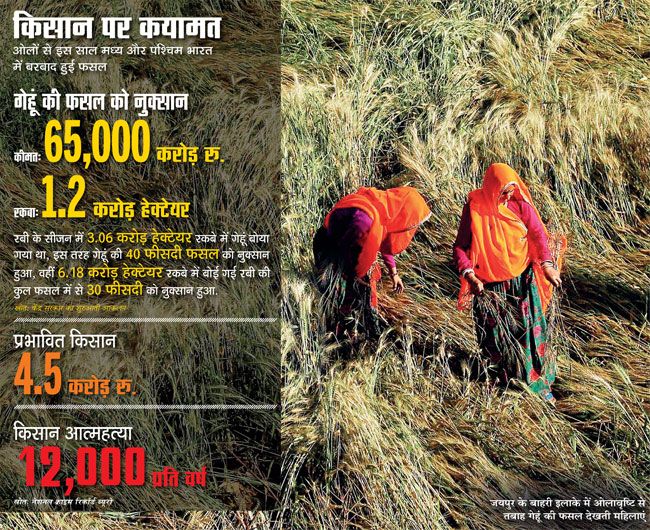 जयपुर के बाहरी इलाके में ओलावृष्टि से तबाह गेहूं की फसल देखती महिलाएं