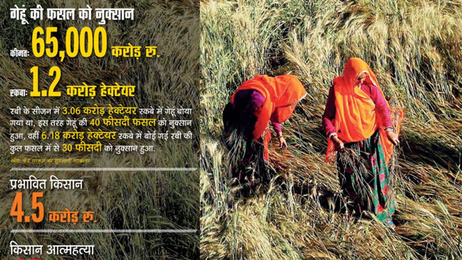 जयपुर के बाहरी इलाके में ओलावृष्टि से तबाह गेहूं की फसल देखती महिलाएं