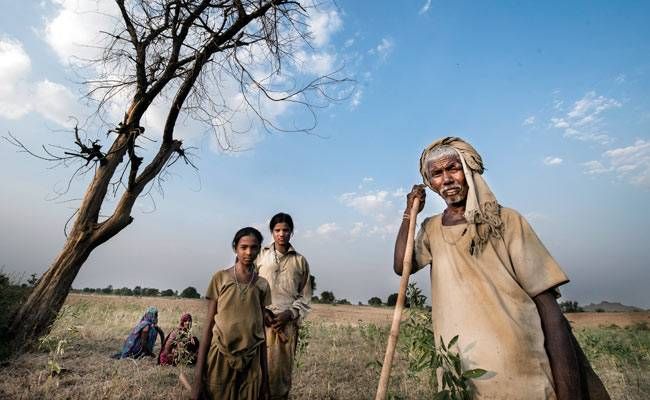 अपने सूखे हुए खेत में बांदा जिले के आनंदपुरा सढ़ा गांव के किसान राम आधार