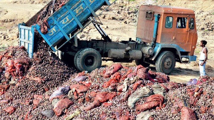 बर्बादीः भोपाल में अरवालिया बाइपास के नजदीक फेंका जाता सड़ा प्याज
