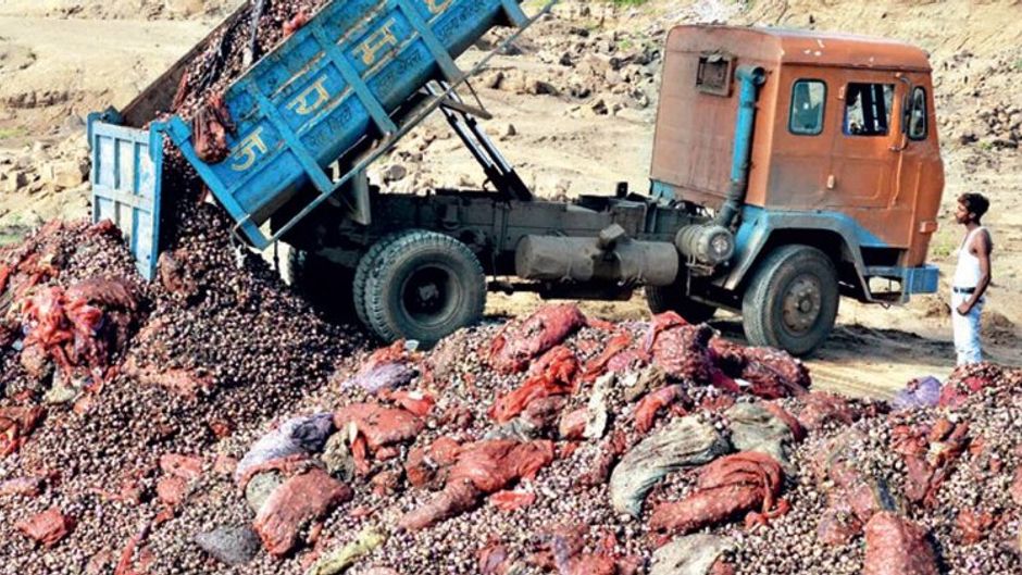 बर्बादीः भोपाल में अरवालिया बाइपास के नजदीक फेंका जाता सड़ा प्याज