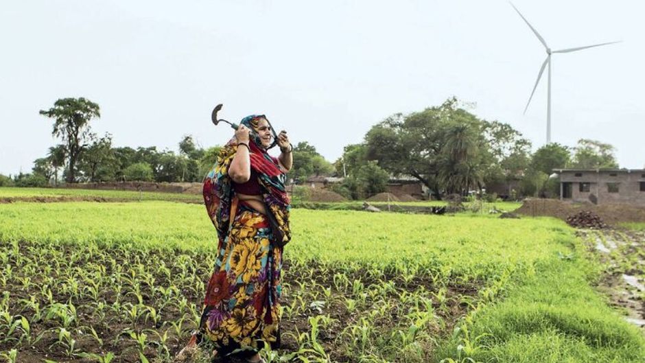 लहलहाती फसल देवास में सोयाबीन का खेत
