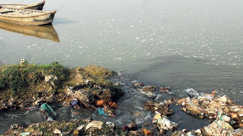 मनीष अग्निनत्री