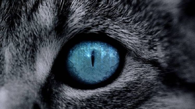 किसी भी समाचार माध्यम में उनका जिक्र तक नहीं होता, लेकिन घरवालों के लिए उससे बड़ी खबर दूसरी हो ही न