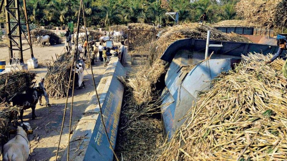 पेराई लातूर की नेचुरल शुगर मिल में अपने गन्ने के साथ किसान