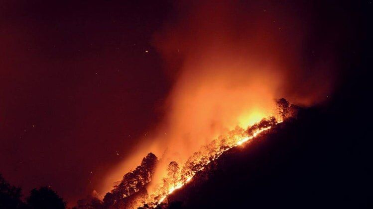 अमित साह