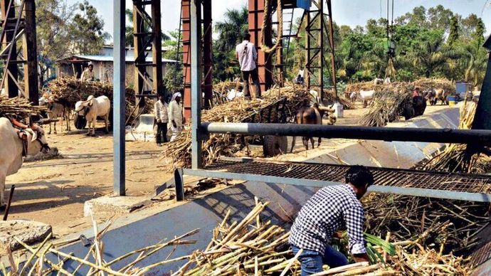 मिलिंद शेल्टे