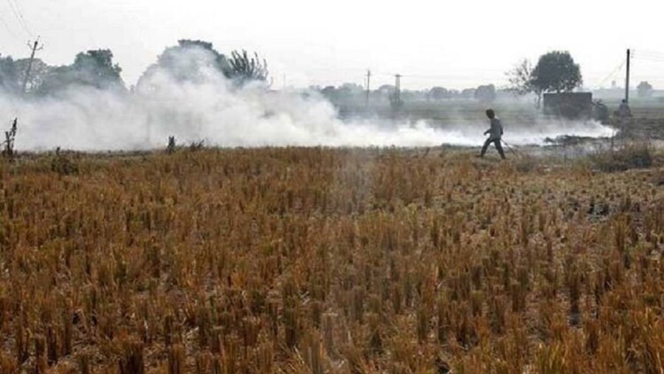 खेतों में जमकर जल रही पराली