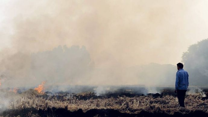 आसमान में उठता धुआंः पिछले साल पंजाब के एक गांव में पराली जलाता किसान