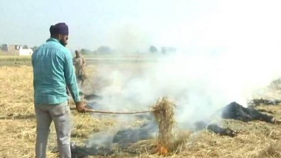 खेत में पराली जलाता पंजाब का एक किसान