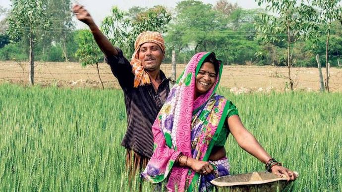 मनीष अग्निहोत्री