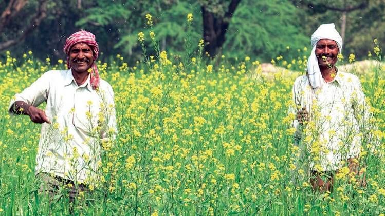 मनीष अग्निहोत्री