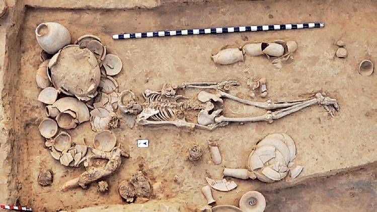 वसंत शिंदे/डीसीपीजीआरआइ