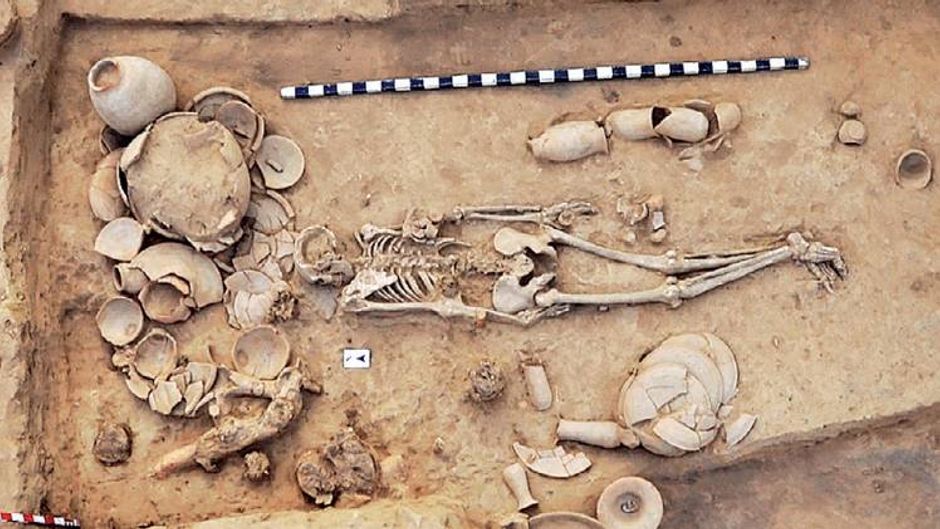 वसंत शिंदे/डीसीपीजीआरआइ