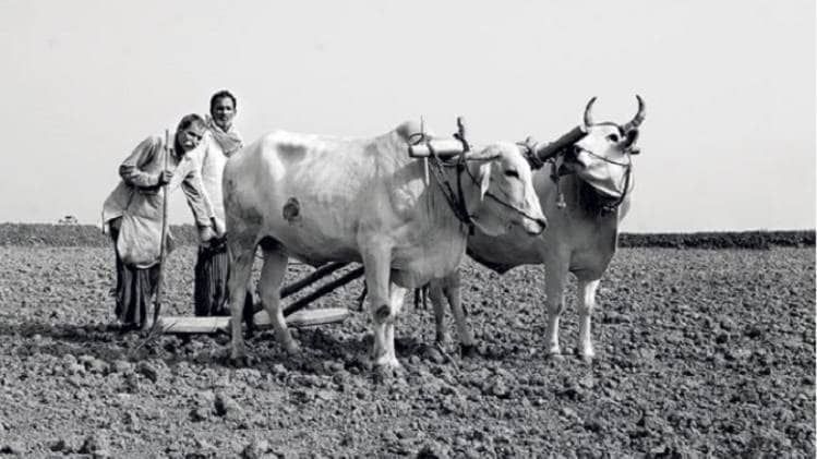 फोटो सौजन्यः इंडिया टुडे