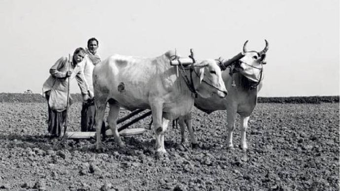 फोटो सौजन्यः इंडिया टुडे