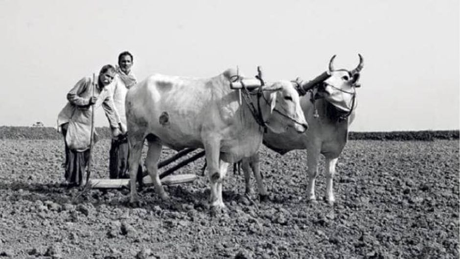 फोटो सौजन्यः इंडिया टुडे