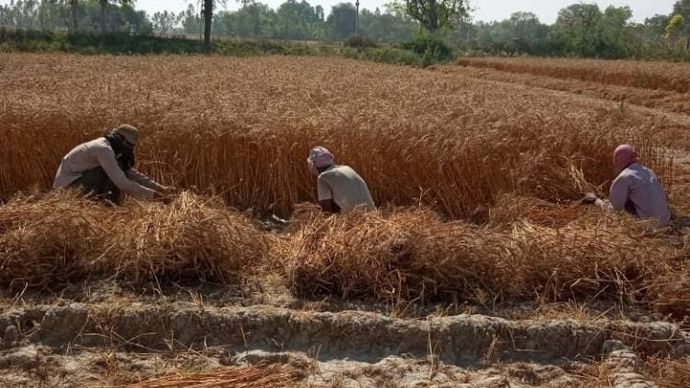 फोटोः आशीष मिश्र