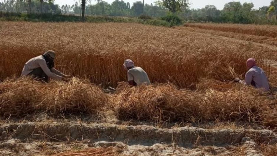 फोटोः आशीष मिश्र