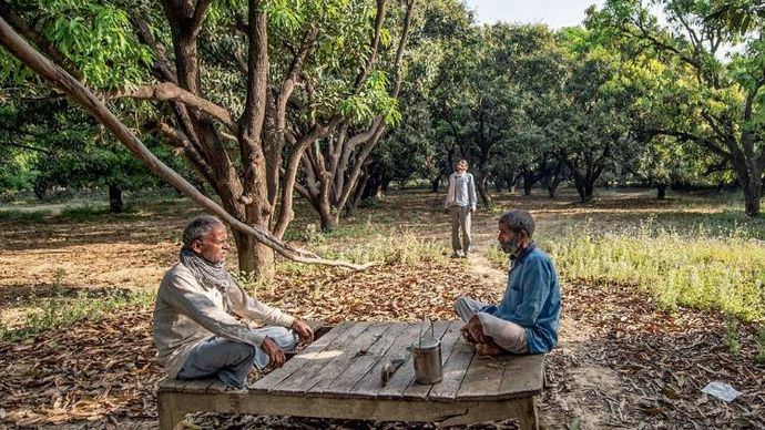 मलिहाबाद के सैदासपुर गांव के किसान कलिका रावत अपने आम के बाग में (फोटोः मनीष अग्निहोत्री)
