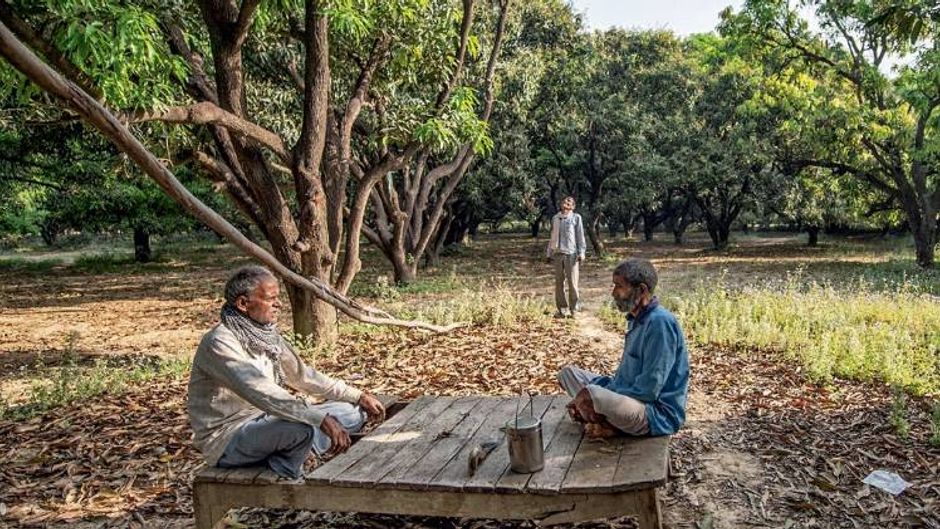मलिहाबाद के सैदासपुर गांव के किसान कलिका रावत अपने आम के बाग में (फोटोः मनीष अग्निहोत्री)