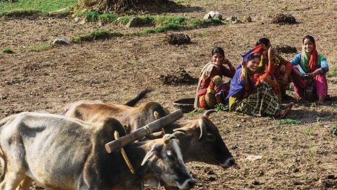 पहाड़ों में प्रवासियों के लौटने से आबाद हो रहे बंजर खेत