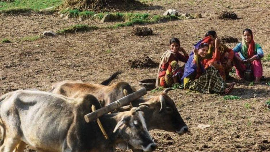 पहाड़ों में प्रवासियों के लौटने से आबाद हो रहे बंजर खेत