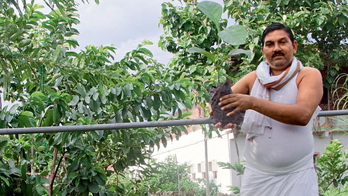 सदानंद कुमार, 45 वर्ष नूरीचक गांव, नवादा, बिहार के सदानंद बागबानी, मछली पालन और डेरी के जरिए बढ़ा रहे हैं आमदनी 