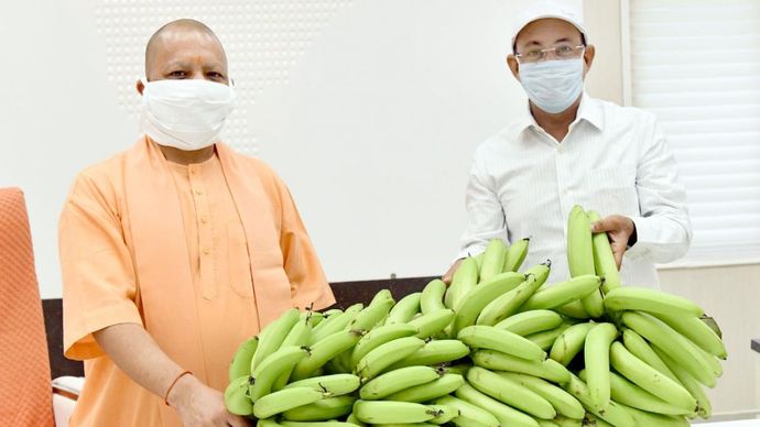 सीएम याेगी को अपने खेत में पैदा हुआ जी-9 केला भेंट करते राम सरन वर्मा (फोटो: आशीष मिश्र)