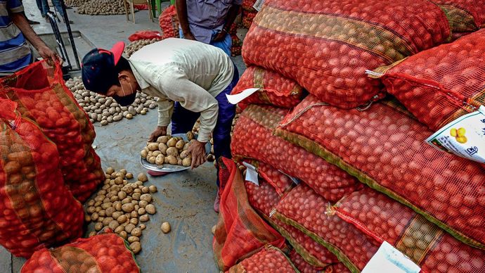 चढ़ गया भाव आलू और प्याज के साथ ही दूसरी सब्जियों की कीमत आसमान छू रही हैं