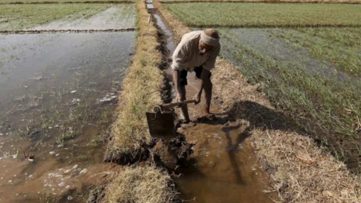 प्रतीकात्मक फोटो (रॉयटर्स)