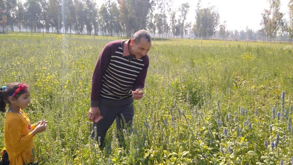 चिया सीड की खेती करने वाले हरिश्चंद्र