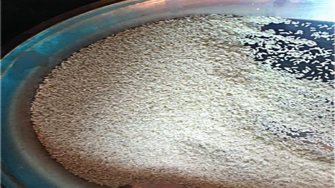 उन्नत अन्न फोर्टिफाइड राइस की सप्लाई चुनिंदा राज्यों में पायलट प्रोजेक्ट के तहत की गई है जिसकी लोगों में अच्छी स्वीकार्यता है