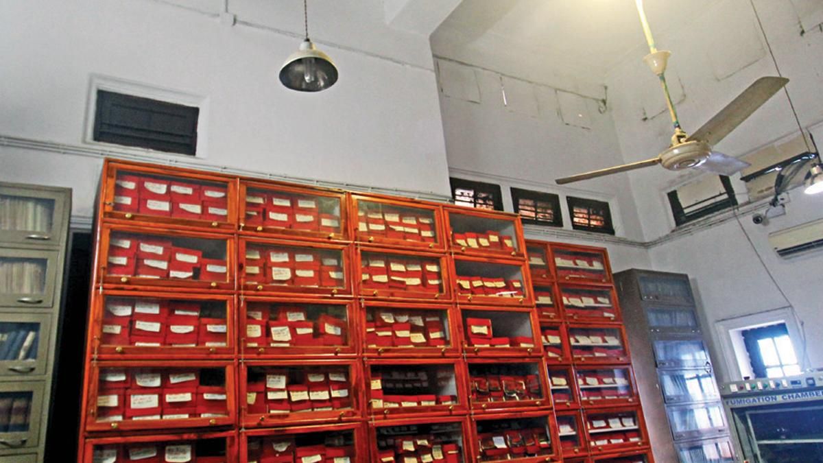 आलमारियों में कैद धरोहर