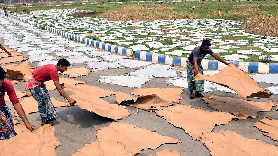 धूप से बदला रंग: केएलसी में खुले में चमड़ा सुखाने का काम