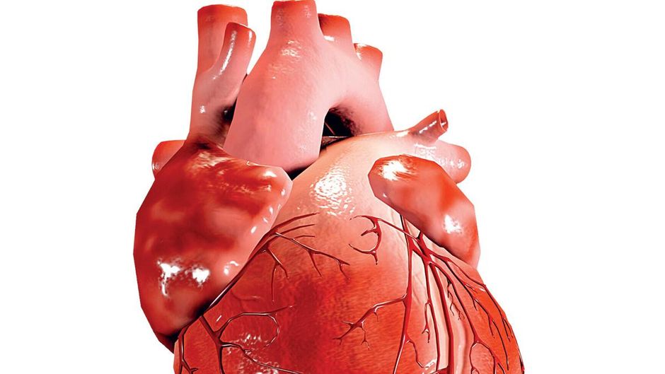 दिल का दौरा