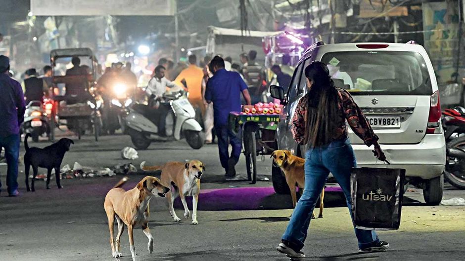खतरे की जद में दिल्ली के मोतीनगर में सड़क पार करती एक महिला को घेरे कुत्ते