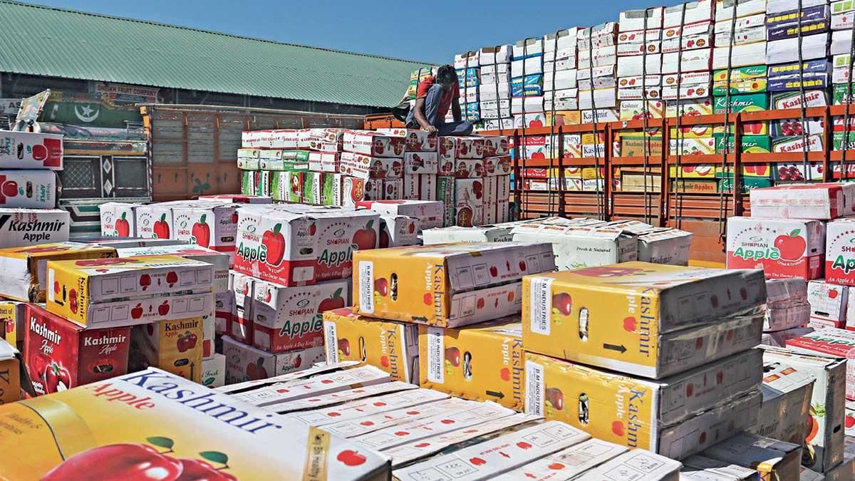 संकट में सेब शोपियां मंडी में ट्रकों पर लादे गए सेब