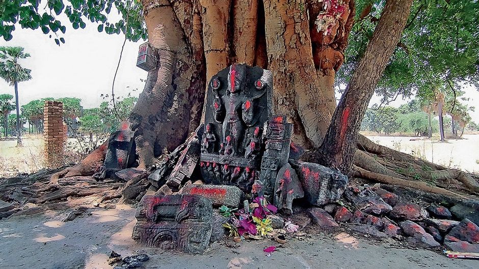 इतिहास पर भारी आस्था नालंदा के चंडी मऊ गांव में पीपल के पेड़ के नीचे रखी सूर्य की प्रतिमा. यह चार फुट ऊंची प्रतिमा पालकालीन है