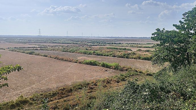 खोजो तो जानें: एम्स दरभंगा को इसी जमीन पर बनाया जाना था